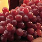 Grape Reliance Seedless