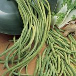 Bean Asparagus Yardlong