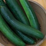 Cucumber Sweet Success Hybrid
