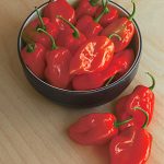 Pepper Hot Habanero Red Organic