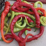 Pepper Hot Ristra Cayenne Hybrid
