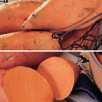 Sweet Potato Collection