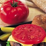 Tomato Burpee’s Burger Hybrid