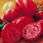 Tomato Fresh Salsa Hybrid