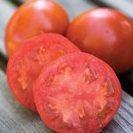 Tomato Sweet Seedless Hybrid