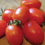 Tomato Viva Italia Hybrid