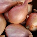 Shallots French Red