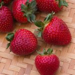Strawberry Evie-2 PPAF