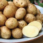 Potato German Butterball