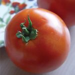 Tomato Thessaloniki