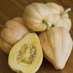 Squash Thelma Sanders Sweet Potato