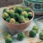 Brussels Sprouts Catskill