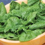 Spinach Bloomsdale Organic