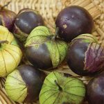 Tomatillo Purple Organic