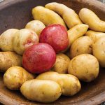 Potato Heirloom Collection