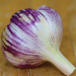 Garlic Viola Francese