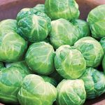 Brussels Sprouts Octia