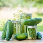 Cucumber Fresh Pickles Hybrid