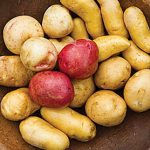 Potato Cook’s Potato Collection